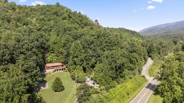 birds eye view of property featuring a mountain view