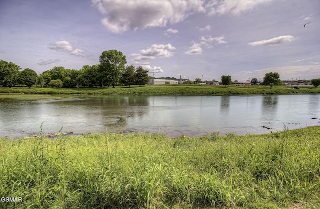 220 River Garden Ct Unit 38, Sevierville, TN 37862 - property view of water