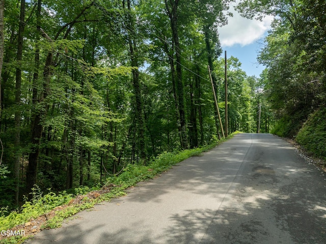 LOTPT4 Upper Alpine Way, Gatlinburg, TN 37738