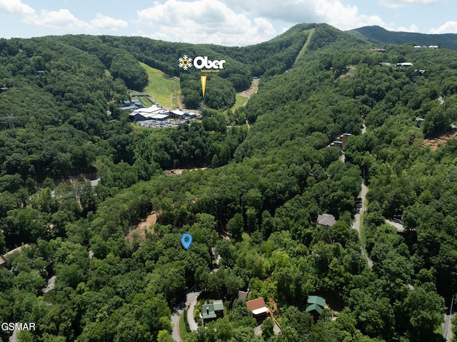 LOTPT4 Upper Alpine Way, Gatlinburg, TN 37738