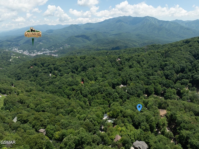 LOTPT4 Upper Alpine Way, Gatlinburg, TN 37738