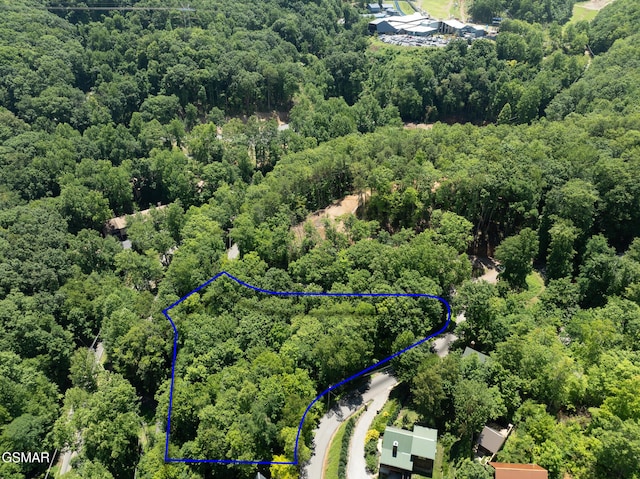 LOTPT4 Upper Alpine Way, Gatlinburg, TN 37738