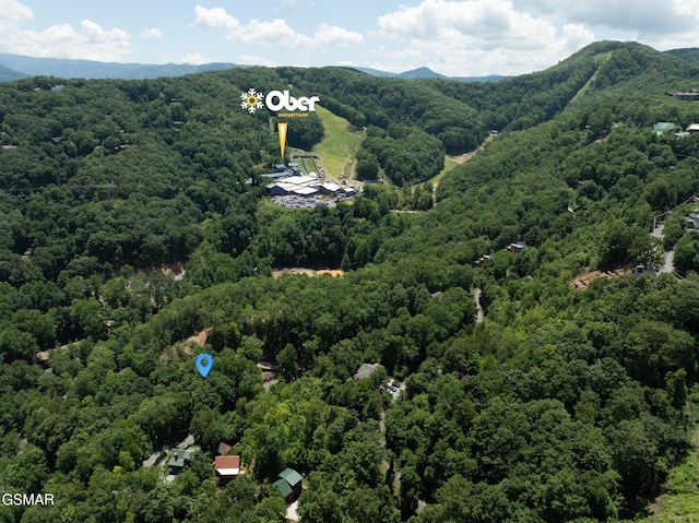 LOTPT4 Upper Alpine Way, Gatlinburg, TN 37738
