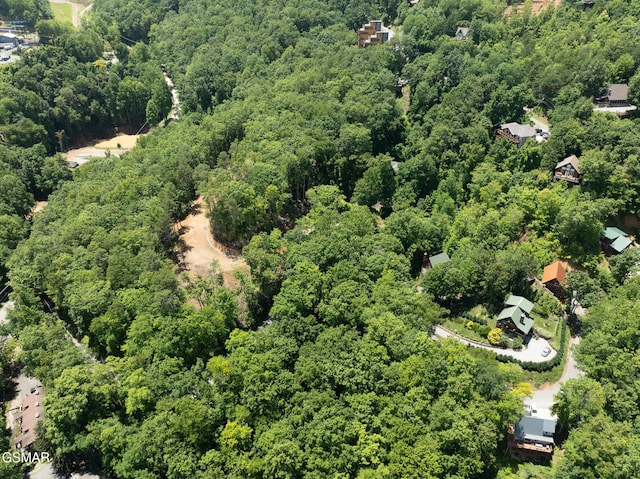 LOTPT4 Upper Alpine Way, Gatlinburg, TN 37738