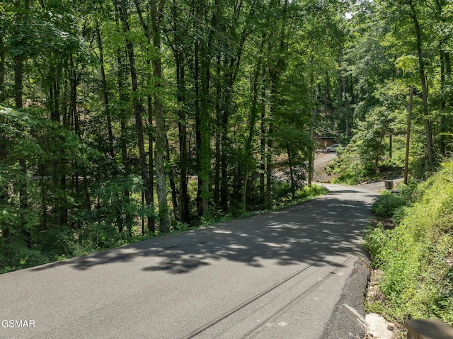 LOTPT4 Upper Alpine Way, Gatlinburg, TN 37738