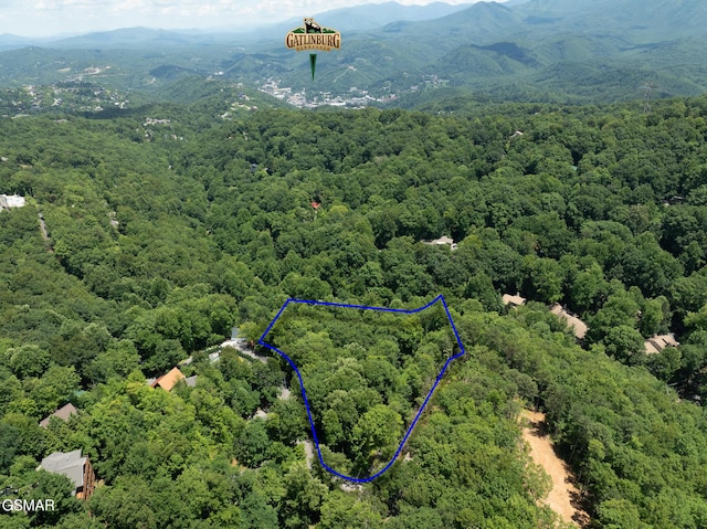 LOTPT4 Upper Alpine Way, Gatlinburg, TN 37738