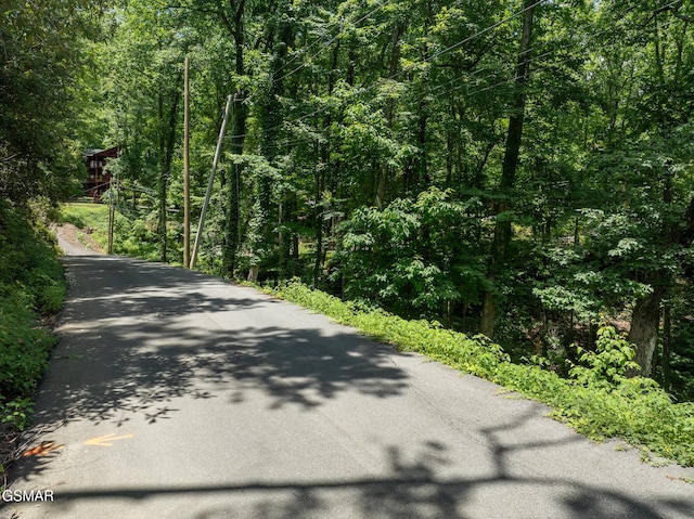 LOTPT4 Upper Alpine Way, Gatlinburg, TN 37738
