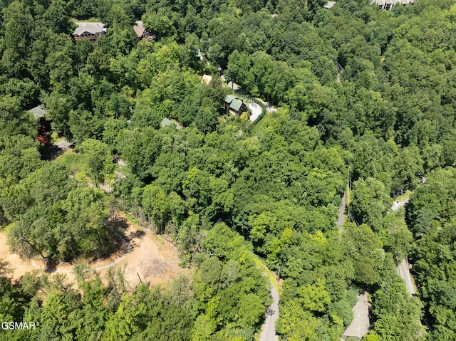LOTPT4 Upper Alpine Way, Gatlinburg, TN 37738