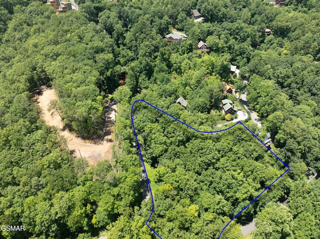 LOTPT4 Upper Alpine Way, Gatlinburg, TN 37738