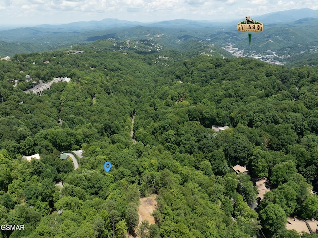 LOTPT4 Upper Alpine Way, Gatlinburg, TN 37738