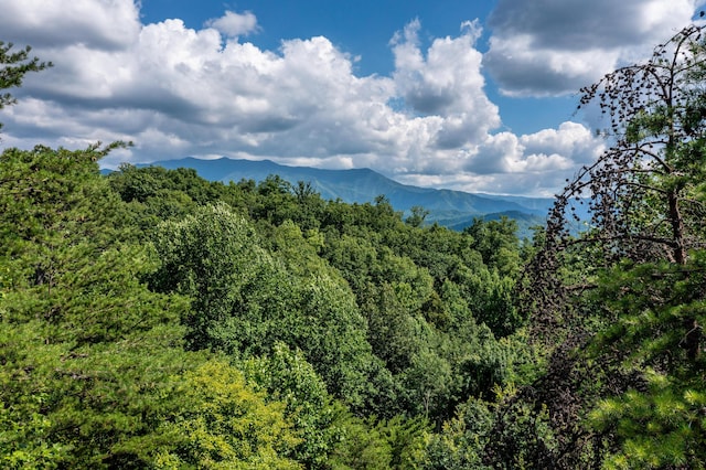 property view of mountains