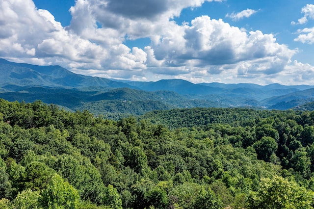 view of mountain feature