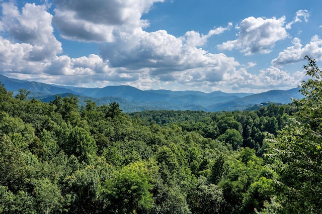 property view of mountains