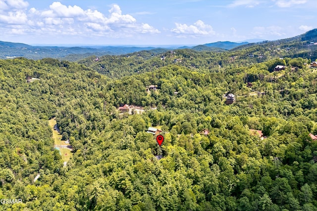 3103 Clearview Cir, Sevierville, TN 37862 - photo 23