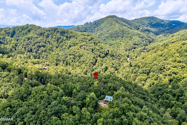 3103 Clearview Cir, Sevierville, TN 37862 - photo 26