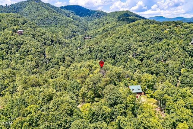 3103 Clearview Cir, Sevierville, TN 37862 - photo 20