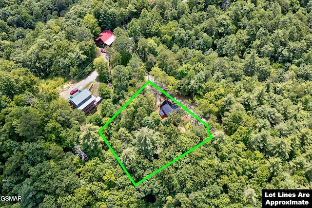 3103 Clearview Cir, Sevierville, TN 37862 - photo 27