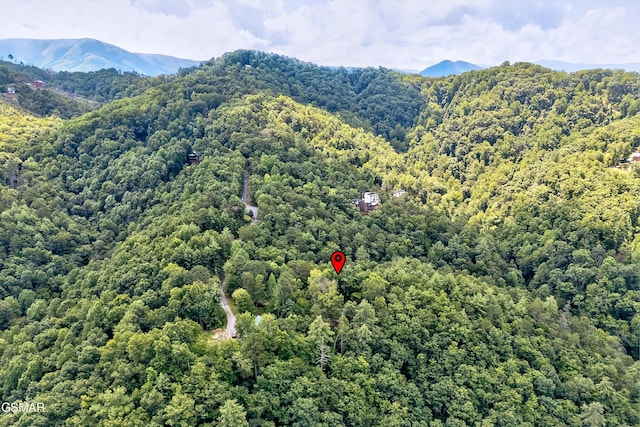 3103 Clearview Cir, Sevierville, TN 37862 - photo 25