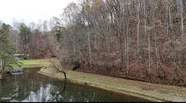 353 Lakeview Dr, Sevierville, TN 37876 - photo 3