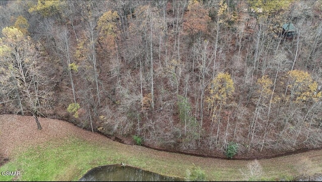 353 Lakeview Dr, Sevierville, TN 37876 - photo 4
