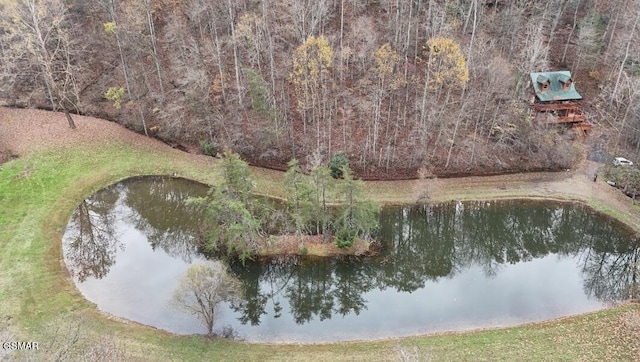 353 Lakeview Dr, Sevierville, TN 37876 - photo 1
