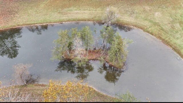 353 Lakeview Dr, Sevierville, TN 37876 - photo 5