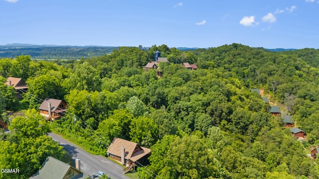 2213 Eagle Feather Dr, Sevierville, TN 37876 - photo 35