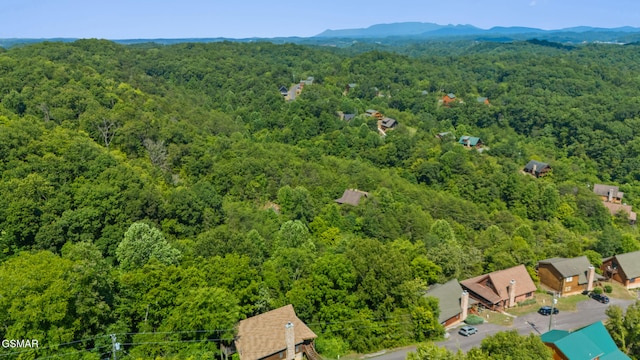 2213 Eagle Feather Dr, Sevierville, TN 37876 - photo 36