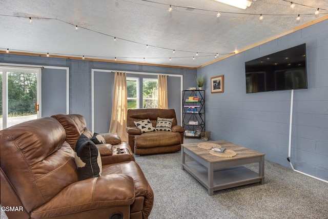 1315 Mccarter Hollow Rd, Sevierville, TN 37862 - carpeted living room featuring a textured ceiling and concrete block wall