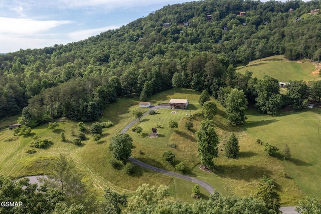 1315 Mccarter Hollow Rd, Sevierville, TN 37862 - aerial view of property and surrounding area with a heavily wooded area and rural landscape