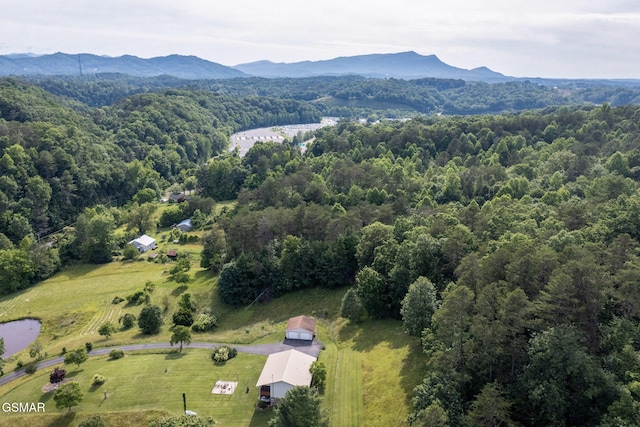 1315 Mccarter Hollow Rd, Sevierville, TN 37862 - drone / aerial view of a forest and mountains