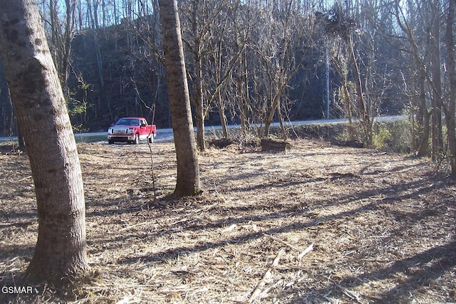 Listing photo 2 for 058011.04 Chapman Hwy, Seymour TN 37865