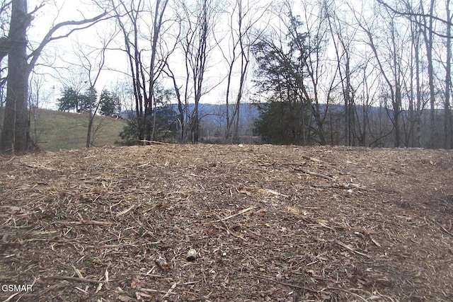 058011.04 Chapman Hwy, Seymour TN, 37865 land for sale