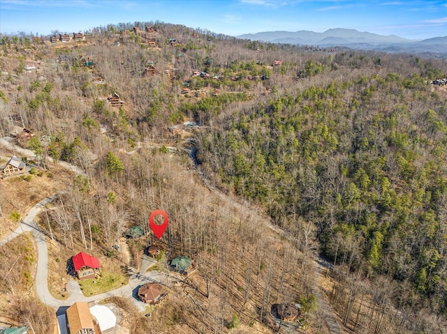 birds eye view of property featuring a mountain view