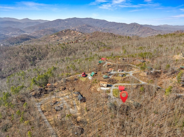 drone / aerial view featuring a mountain view