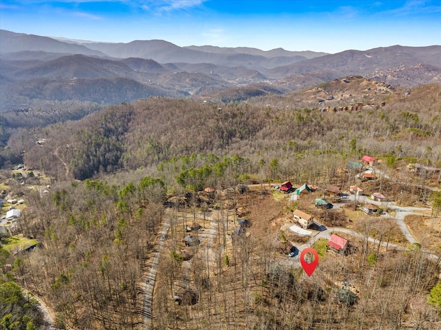 bird's eye view with a mountain view