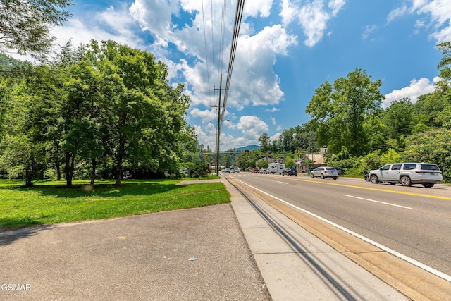 1006 Parkway Pkwy, Gatlinburg, TN 37738 - photo 2