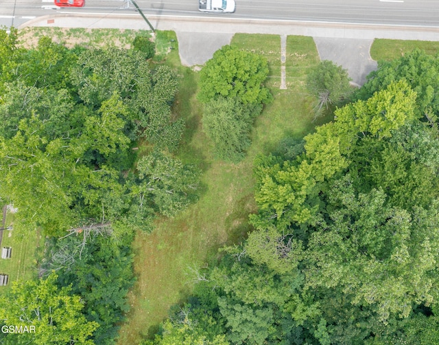 1006 Parkway Pkwy, Gatlinburg, TN 37738 - photo 14