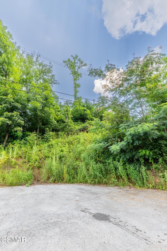 1006 Parkway Pkwy, Gatlinburg, TN 37738 - photo 12