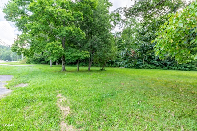 1006 Parkway Pkwy, Gatlinburg, TN 37738 - photo 8