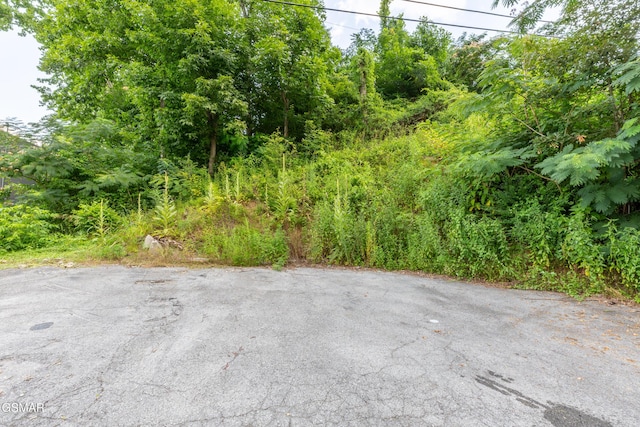 1006 Parkway Pkwy, Gatlinburg, TN 37738 - photo 9