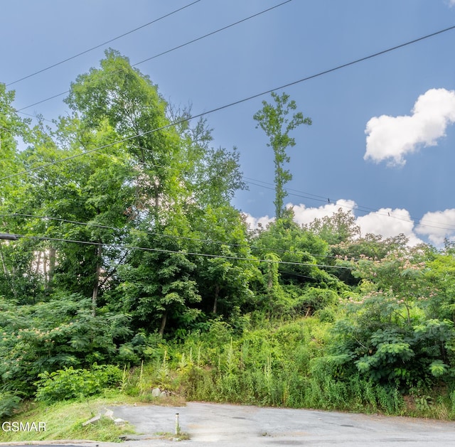 1006 Parkway Pkwy, Gatlinburg, TN 37738 - photo 10
