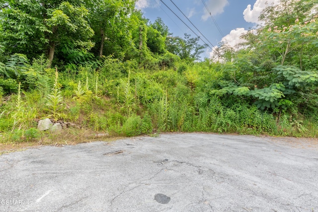 1006 Parkway Pkwy, Gatlinburg, TN 37738 - photo 11