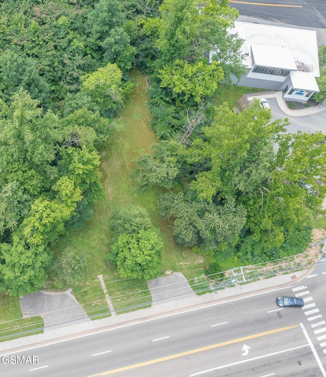 1006 Parkway Pkwy, Gatlinburg, TN 37738 - photo 1