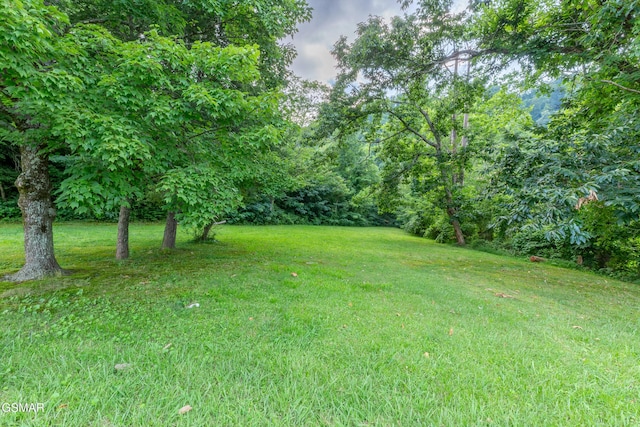 1006 Parkway Pkwy, Gatlinburg, TN 37738 - photo 7