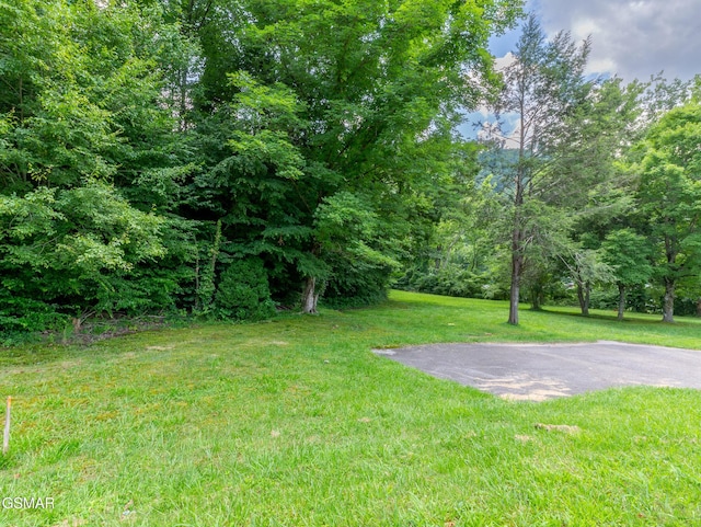 1006 Parkway Pkwy, Gatlinburg, TN 37738 - photo 4