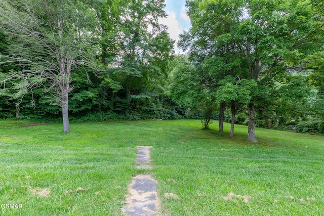 1006 Parkway Pkwy, Gatlinburg, TN 37738 - photo 5