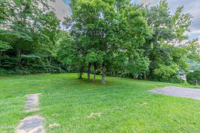 1006 Parkway Pkwy, Gatlinburg, TN 37738 - photo 6