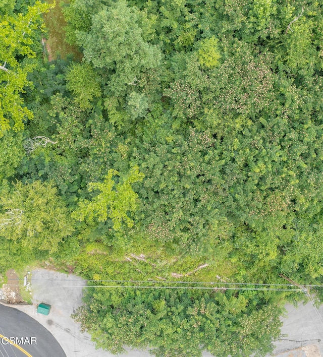 1006 Parkway Pkwy, Gatlinburg, TN 37738 - photo 16