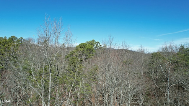 Listing photo 3 for 442 Hawken Dr, Walland TN 37886